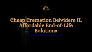 Cheap Cremation Belvidere IL Affordable End-of-Life Solutions