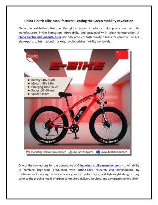 China Electric Bike Manufacturer: Leading the Green Mobility Revolution