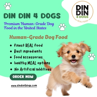 Din Din 4 Dogs: Nutritious Homemade Meals for Your Canine