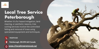 Expert Local Tree Service in Peterborough forLocal Tree Service Peterborough (1)