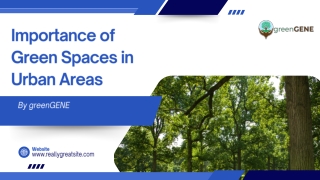 Importance of Green Spaces in Urban Areas