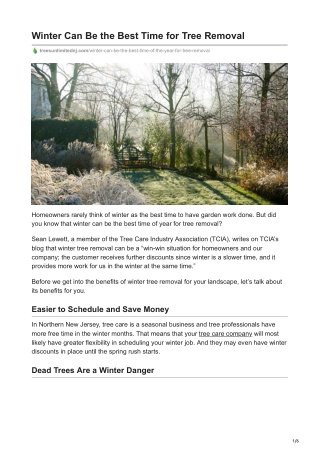 winter can be the best time for tree removal