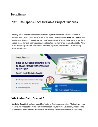 NetSuite OpenAir for Scalable Project Success