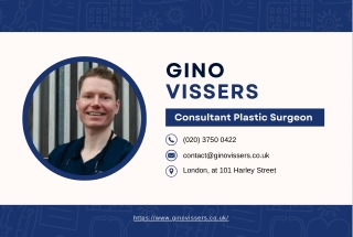 gino vissers