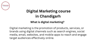Digital Marketing course in Chandigarh pdf 1