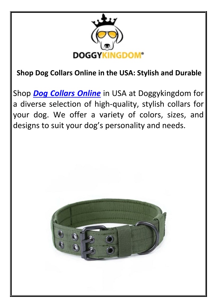 shop dog collars online in the usa stylish