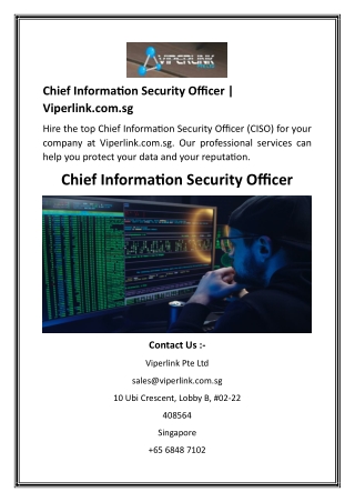 chief information security officer viperlink