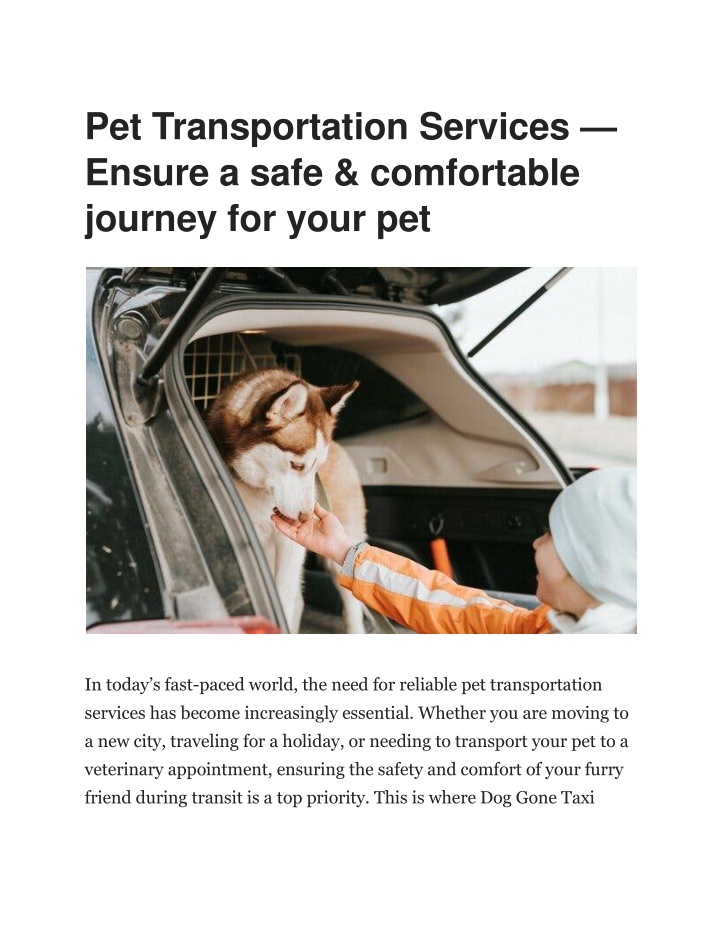 pet transportation services ensure a safe