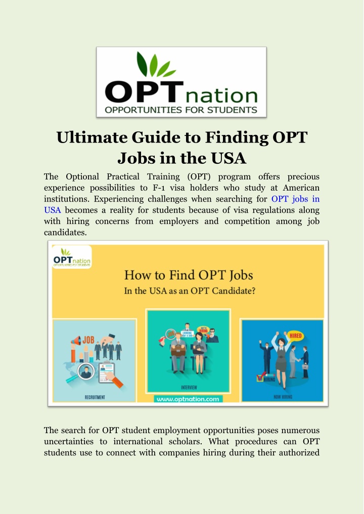 ultimate guide to finding opt jobs in the usa