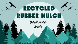 Recycled Rubber Mulch: Perfect for Resilient, Color-Retaining Outdoor Spaces