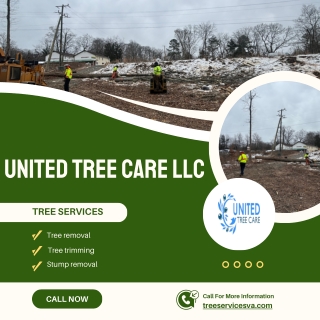 Emergency tree removal in Manassas VA | United Tree Care LLC