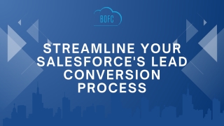 Mass Lead Conversion In Salesforce with BOFC