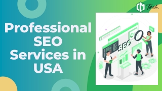 The Best Professional SEO Services in USA – Codermask Tech