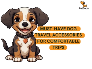 Make Every Trip Comfortable with Dog Travel Accessories