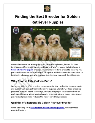 Finding the Best Breeder for Golden Retriever Puppies