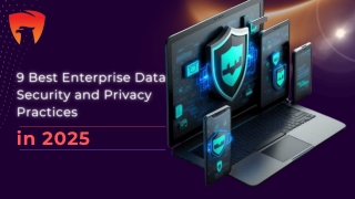 9 Best Enterprise Data Security and Privacy Practices in 2025_compressed