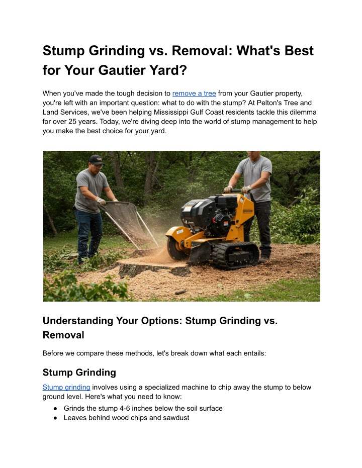 stump grinding vs removal what s best for your