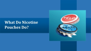 What Do Nicotine Pouches Do?