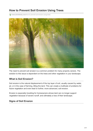 How to Prevent Soil Erosion Using Trees - Trees Unlimited LLC