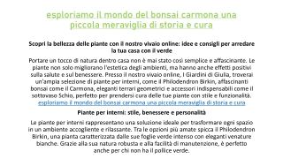 esploriamo il mondo del bonsai carmona una piccola meraviglia di storia e cura