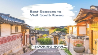 Best Seasons to Visit South Korea