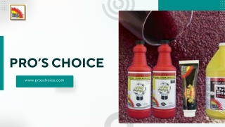 The Ultimate Guide to Carpet Cleaning and Restoration Keeping Your Floors Spotless (1)