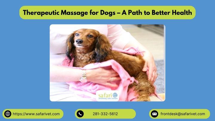 therapeutic massage for dogs a path to better