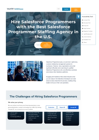 Hire Salesforce Programmers