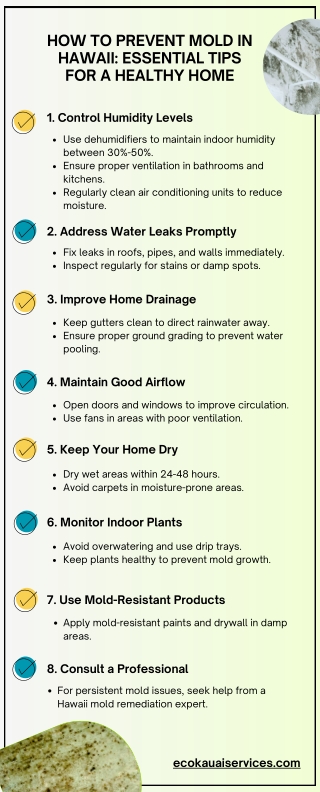 How to Prevent Mold in Hawaii Essential Tips for a Healthy Home