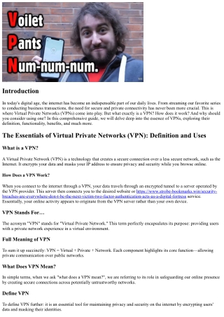 The Essentials of Virtual Private Networks (VPN): Definition and Uses