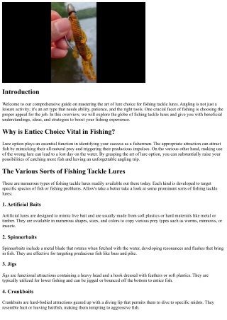 Grasping the Art of Tempt Selection: An Overview to Fishing Tackle Lures
