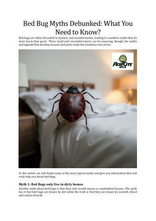 Bed Bug Misconceptions: What You Should Really Know