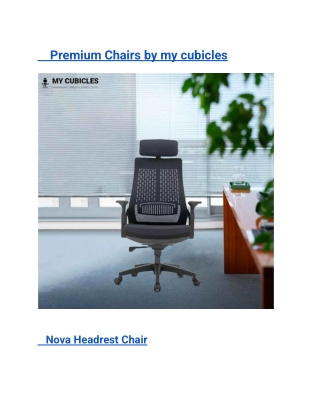 Premium Chairs by my cubicles