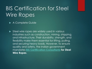 The Comprehensive Guide to Obtaining BIS Certification for Steel Wire Ropes