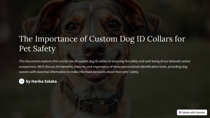 the importance of custom dog id collars