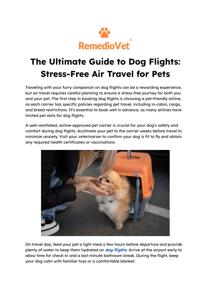 the ultimate guide to dog flights stress free