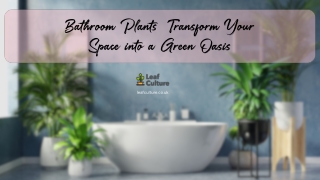 Bathroom Plants  Transform Your Space into a Green Oasis