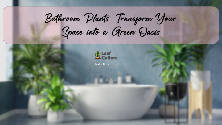 bathroom plants transform your space into a green