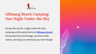 Alibaaug Beach Camping