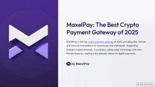 maxelpay the best crypto payment gateway of 2025