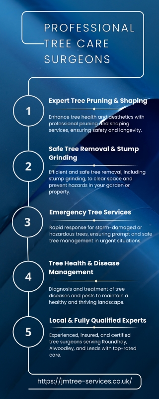 Professional Tree care surgeons in Roundhay, Alwoodley and Leeds