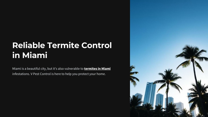 reliable termite control in miami