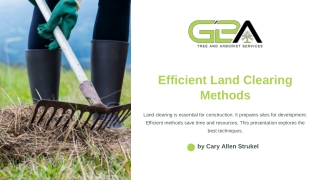 What Are the Best Methods for Efficient Land Clearing