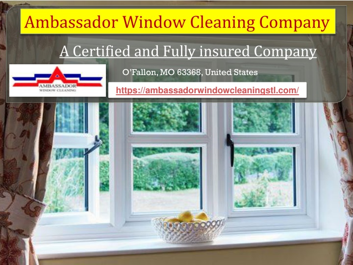 ambassador window cleaning company