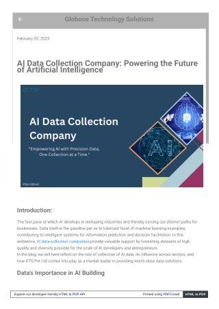 AI Data Collection Company Powering the Future of Artificial Intelligence