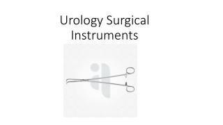 Urology Surgical Instruments