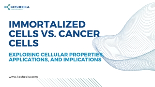 Immortalized Cells vs. Cancer Cells