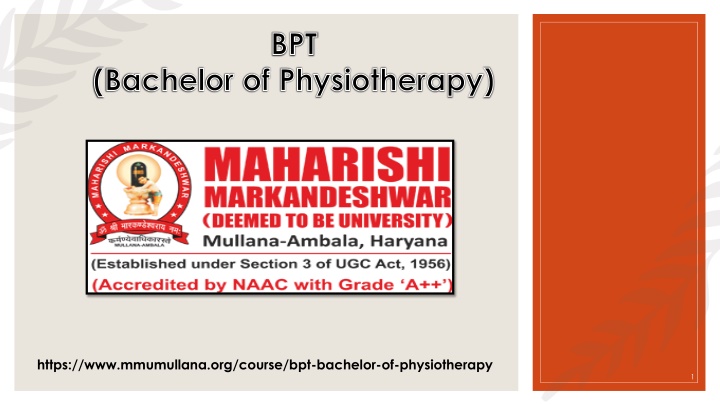 bpt bachelor of physiotherapy