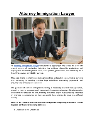Attorney Immigration Lawyer