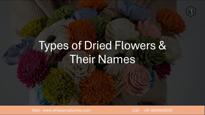 types of dried flowers their names